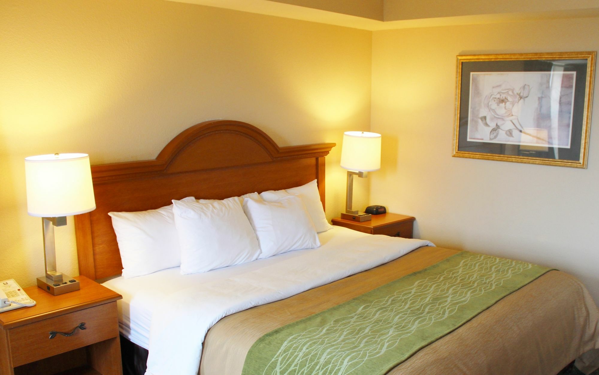 Comfort Inn & Suites St Louis - Chesterfield Exterior photo